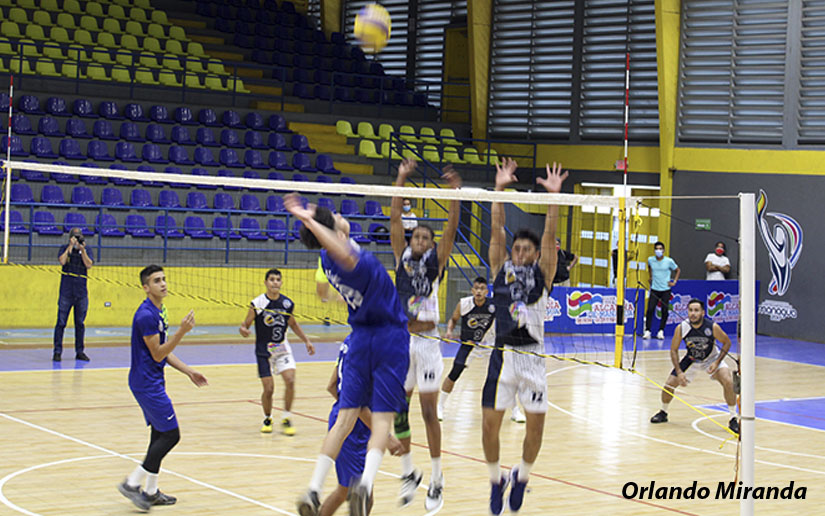 TORNEO